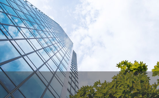 漯河市新旺化工有限公司