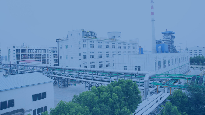 漯河市新旺化工有限公司